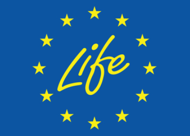 Ue